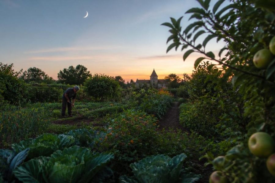 Jardin au crépuscule avec lune visible - comprendre la lune descendante et ses effets sur les travaux du jardin