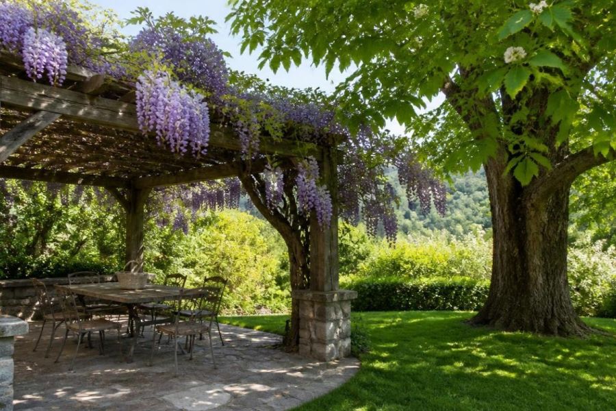 espace ombrage jardin avec pergola en bois couverte de glycine et mobilier de jardin dessous